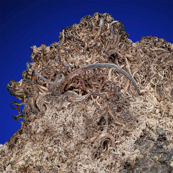 Silver-Schlema | Erzgebirge | Saxony | Germany